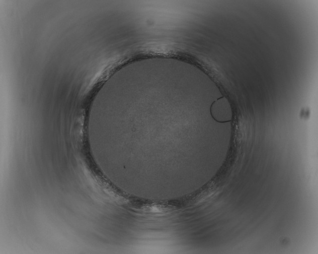 X0000111160739200906301400