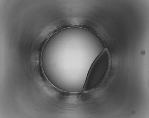 X0000111160740200906301400