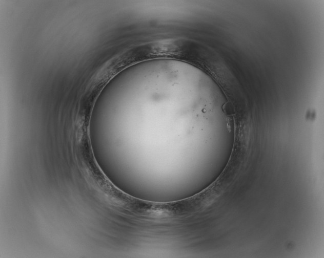 X0000111160741200906301400