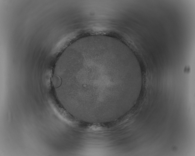 X0000111160742200906301400
