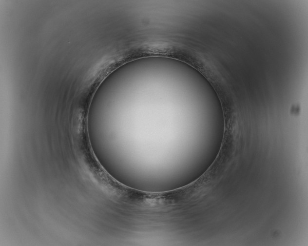 X0000111160744200906301400
