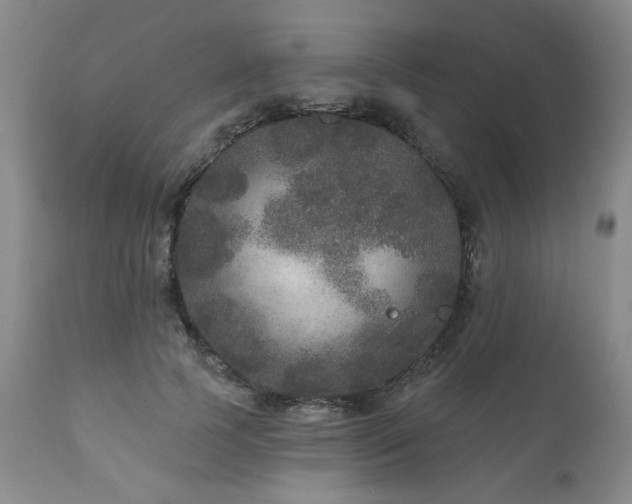 X0000111160745200906301400