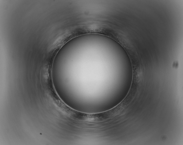 X0000111160746200906301400