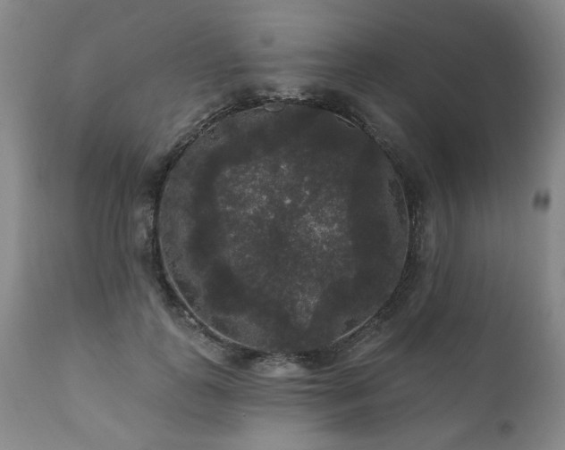 X0000111160747200906301400