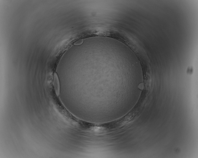 X0000111160748200906301400