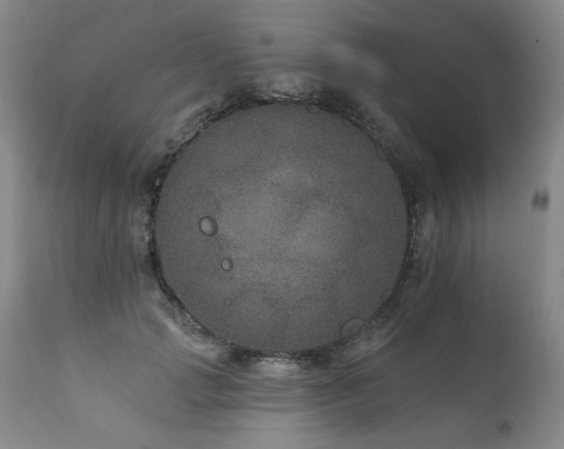 X0000111160749200906301400