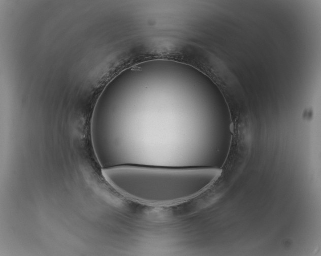 X0000111160750200906301400