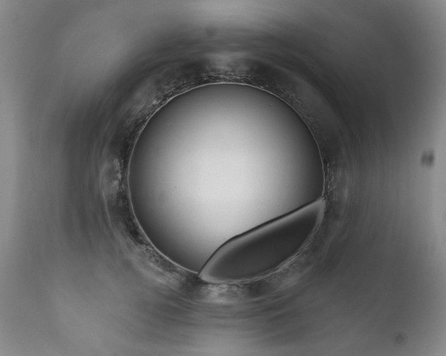 X0000111160752200906301400