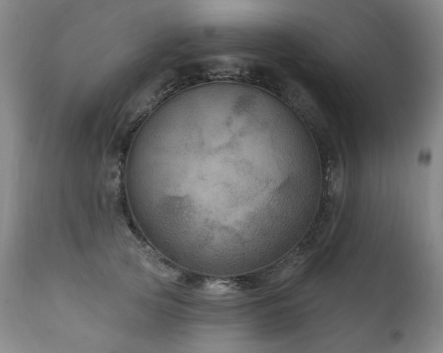 X0000111160753200906301400