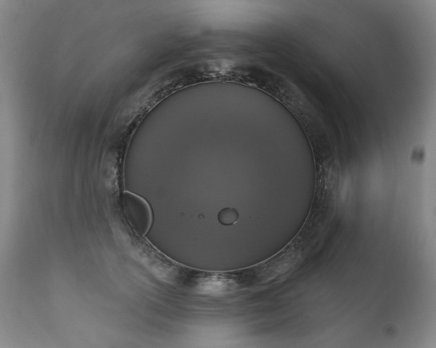 X0000111160754200906301400