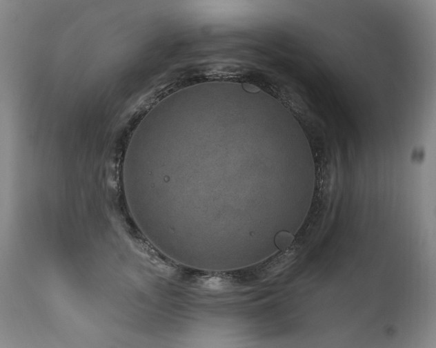 X0000111160755200906301400