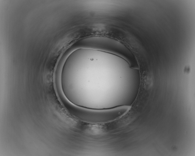 X0000111160756200906301400