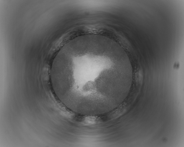 X0000111160757200906301400