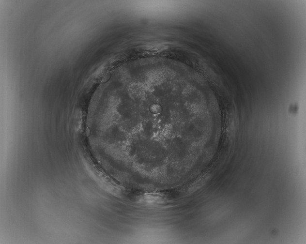 X0000111160758200906301400