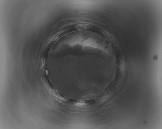 X0000111160759200906301400