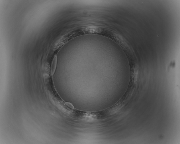 X0000111160760200906301400
