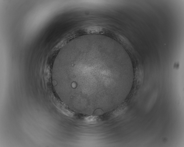 X0000111160761200906301400