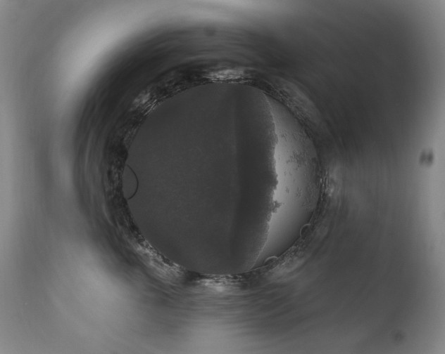 X0000111160763200906301400