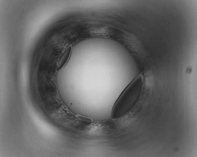 X0000111160764200906301400