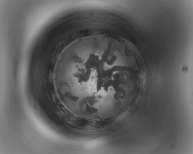 X0000111160765200906301400