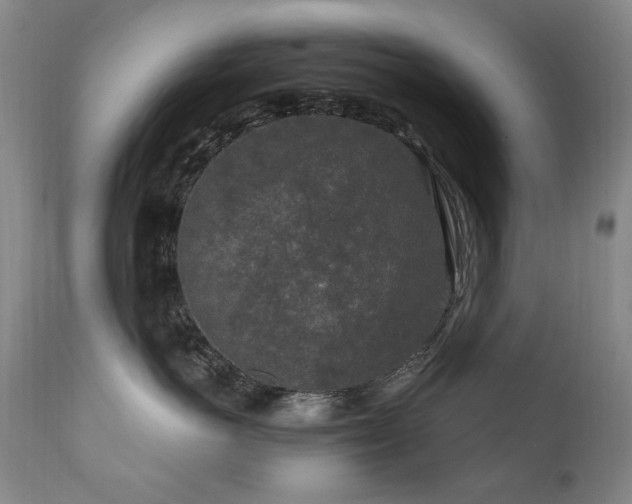 X0000111160766200906301400