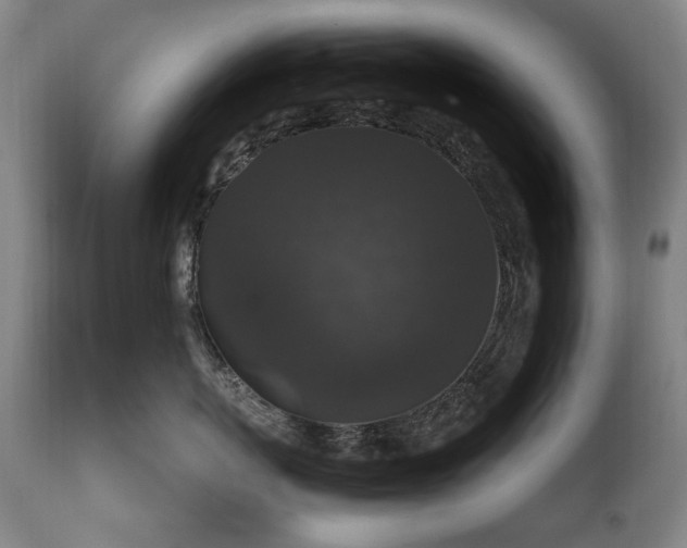 X0000111160767200906301400