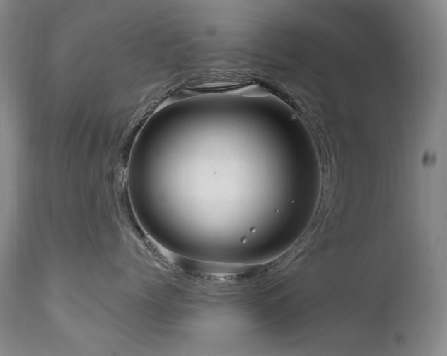 X0000111160768200906301400