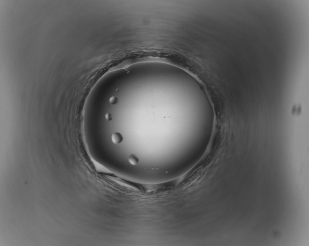 X0000111160769200906301359