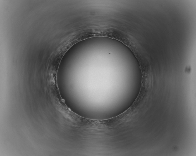 X0000111160770200906301359