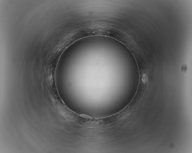 X0000111160771200906301359