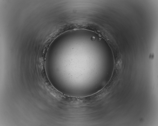 X0000111160772200906301359