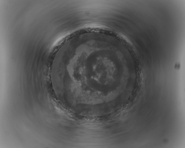 X0000111160775200906301359