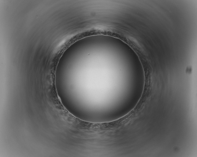 X0000111160776200906301359