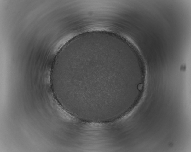 X0000111160777200906301359