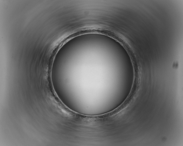 X0000111160778200906301359