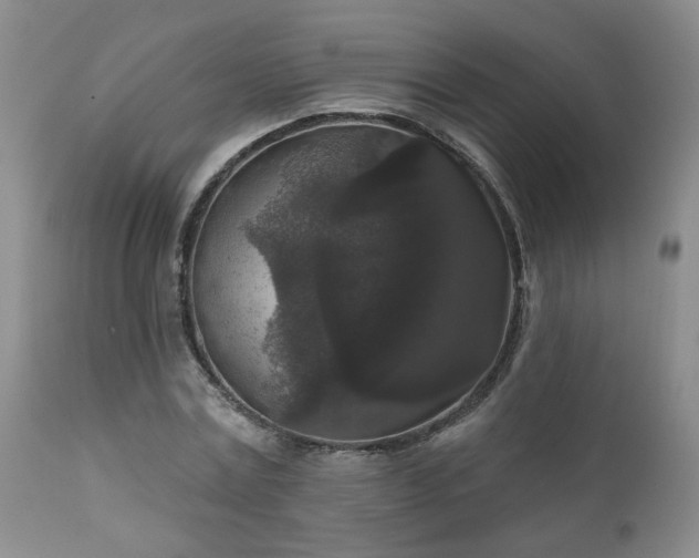X0000111160779200906301359