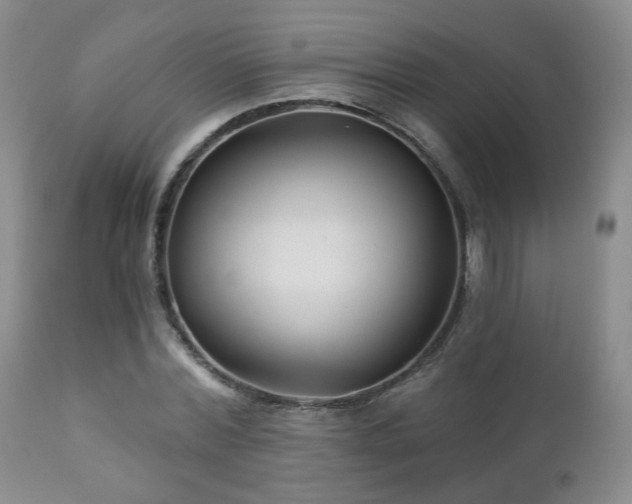 X0000111160780200906301359