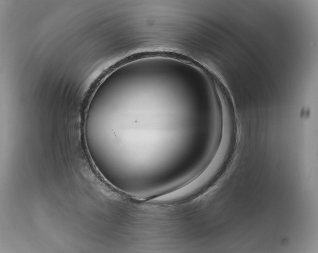 X0000111160781200906301359