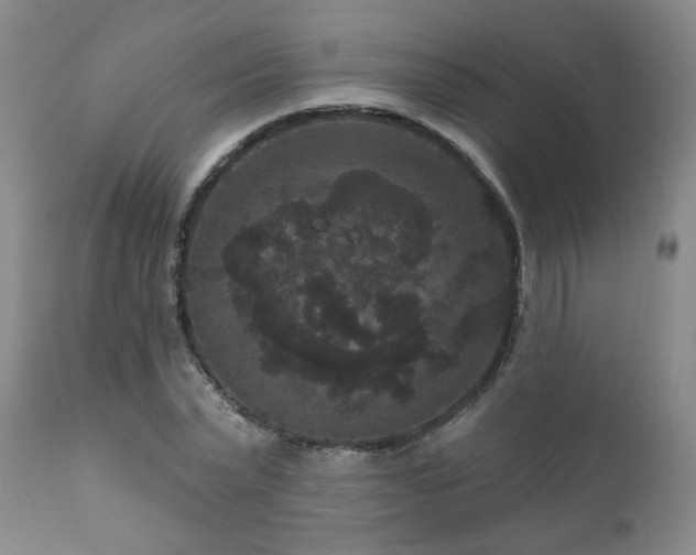 X0000111160783200906301359