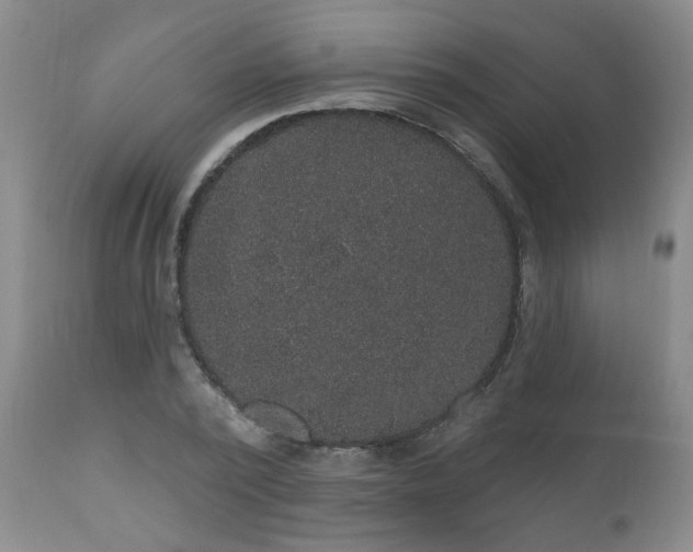 X0000111160784200906301359