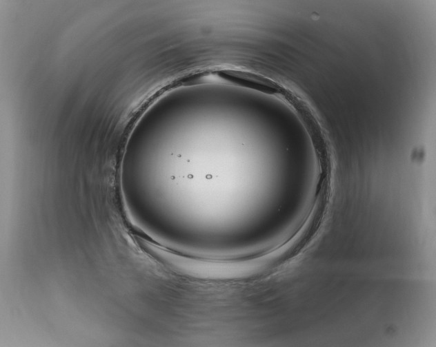 X0000111160785200906301359