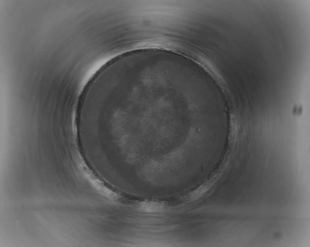 X0000111160788200906301359