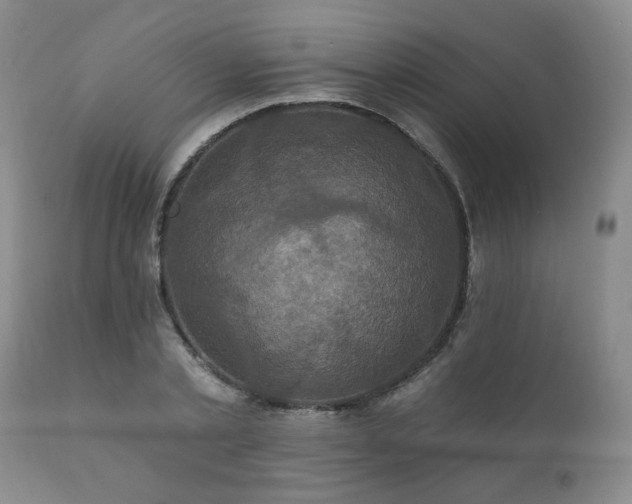 X0000111160789200906301359