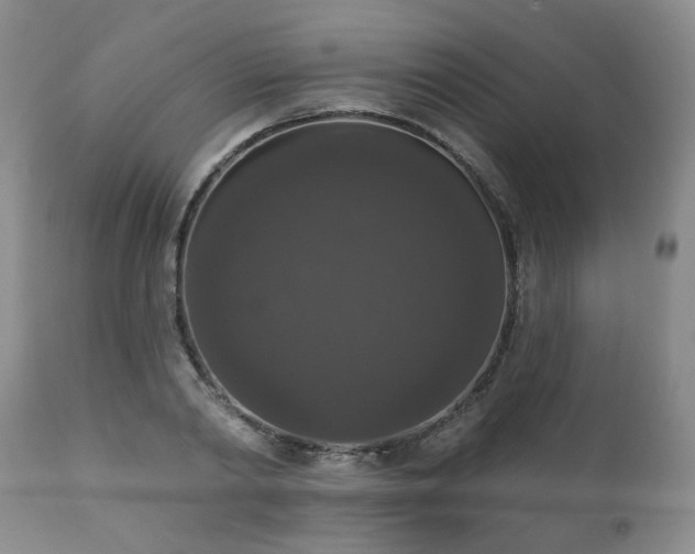 X0000111160790200906301359