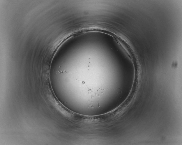 X0000111160793200906301359