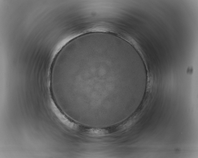 X0000111160795200906301359