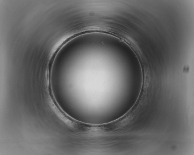 X0000111160796200906301359