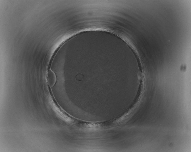X0000111160797200906301359