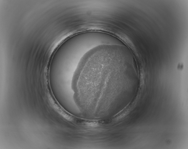 X0000111160798200906301359