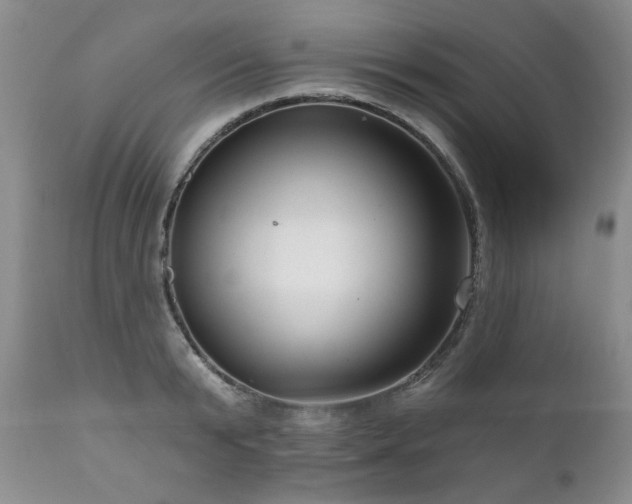 X0000111160799200906301359